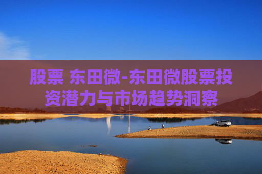 股票 东田微-东田微股票投资潜力与市场趋势洞察