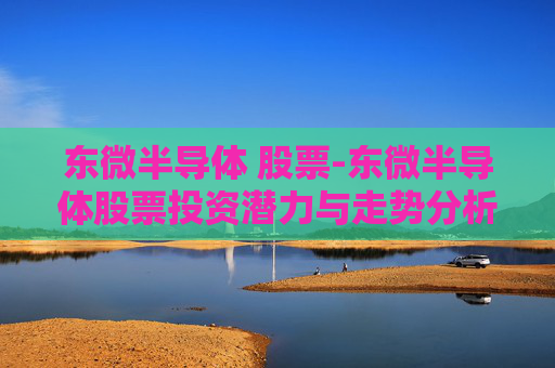 东微半导体 股票-东微半导体股票投资潜力与走势分析