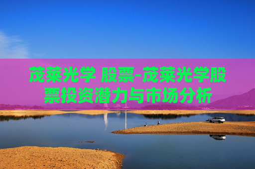 茂莱光学 股票-茂莱光学股票投资潜力与市场分析
