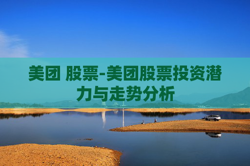 美团 股票-美团股票投资潜力与走势分析