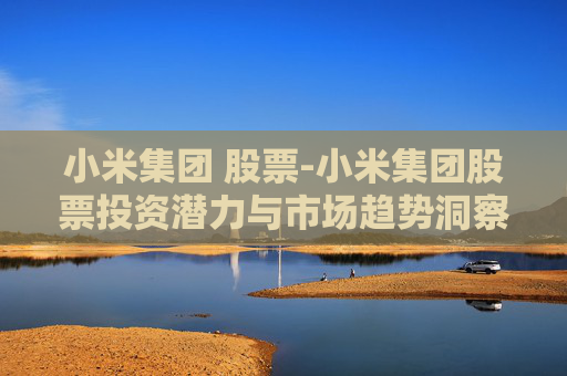 小米集团 股票-小米集团股票投资潜力与市场趋势洞察