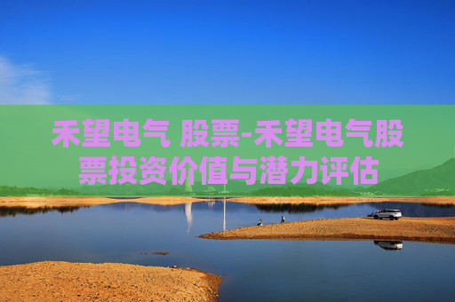 禾望电气 股票-禾望电气股票投资价值与潜力评估