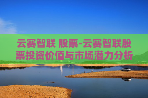 云赛智联 股票-云赛智联股票投资价值与市场潜力分析