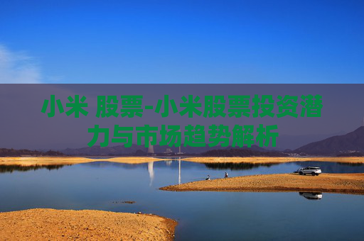 小米 股票-小米股票投资潜力与市场趋势解析