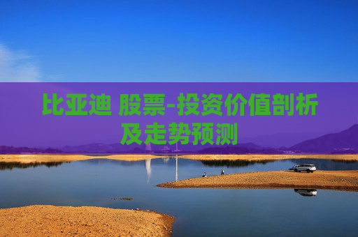 比亚迪 股票-投资价值剖析及走势预测