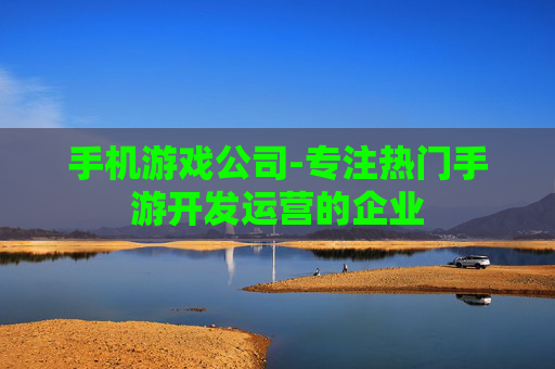 手机游戏公司-专注热门手游开发运营的企业