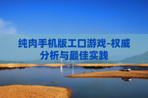 纯肉手机版工口游戏-权威分析与最佳实践