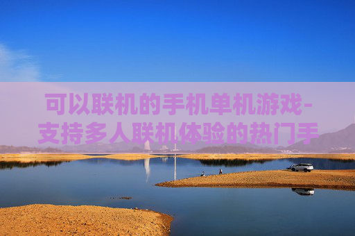 可以联机的手机单机游戏-支持多人联机体验的热门手机单机游戏
