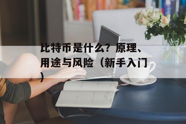 比特币是什么？原理、用途与风险（新手入门）