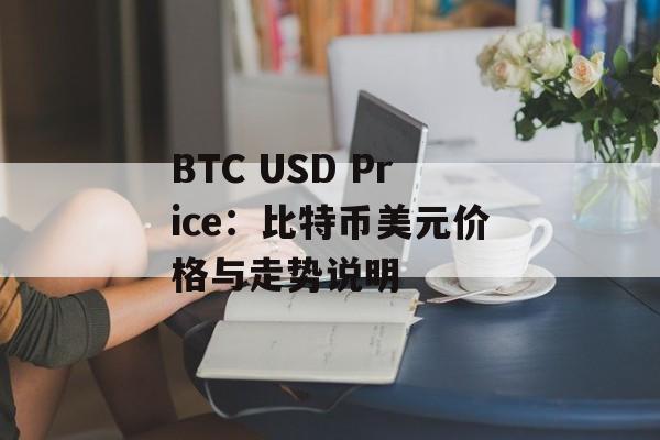 BTC USD Price：比特币美元价格与走势说明