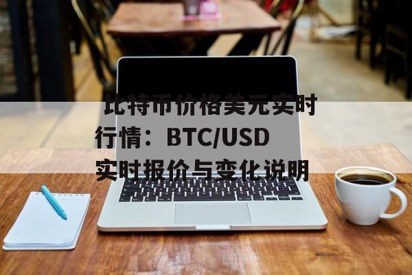  比特币价格美元实时行情：BTC/USD实时报价与变化说明