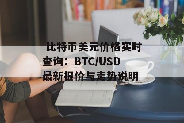  比特币美元价格实时查询：BTC/USD最新报价与走势说明